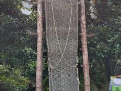 -遂昌金矿国家矿山公园