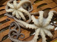 -高佳庄·海鲜酒楼(定海店)