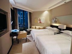 -芽庄喜来登水疗酒店