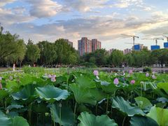 -太阳宫公园