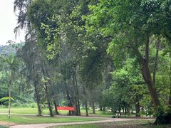 -南宁良凤江国家森林公园