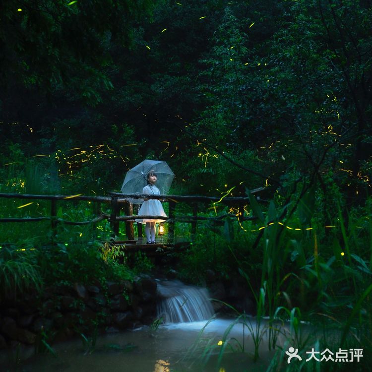 🌟莫干山zui梦幻的萤火虫基地,私藏的宝藏地