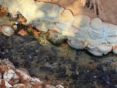 -白水寺森林公园