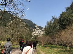 -黄公望隐居地