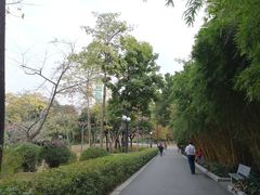 -晓港公园