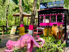 -合肥滨湖国家森林公园