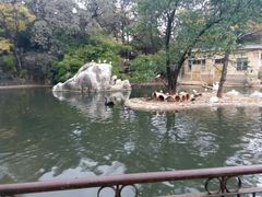 -昆明动物园