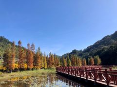 -广州市石门国家森林公园