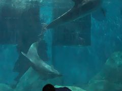 -福州罗源湾海洋世界旅游区