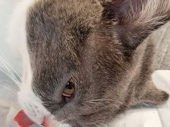 -佳雯宠物医院(四明中路分院)