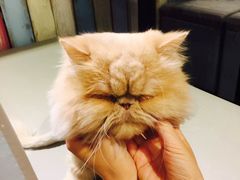 -小时光咖啡馆(开森度假森林店)