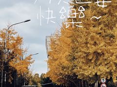 -FOAM LAB 泡沫实验室精酿餐吧