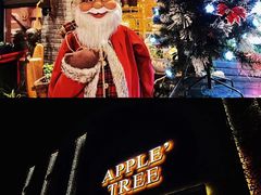 -苹果树下艺术餐厅(通州店)