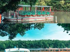 -大湾区中央湿地公园
