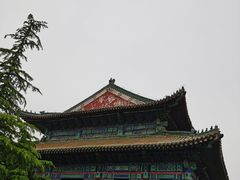 -曹州牡丹园