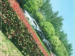 -常州淹城野生动物世界