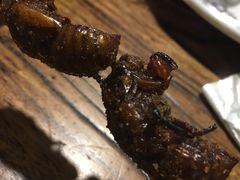 -柿子树炭烤羊腿(金台路店)