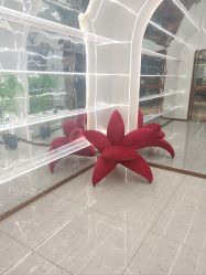 -Lily纤美·科技减脂中心