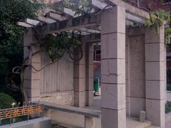 夏威夷吉他教育基地-上海市位育初级中学