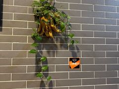 -吴财记面家(大同路店)