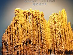 -贵州省地质博物馆