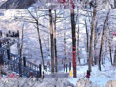 -崂山巨峰游览区