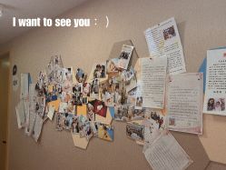 -海豚湾高端月子会所(黄浦店)