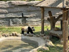 -石家庄市动物园