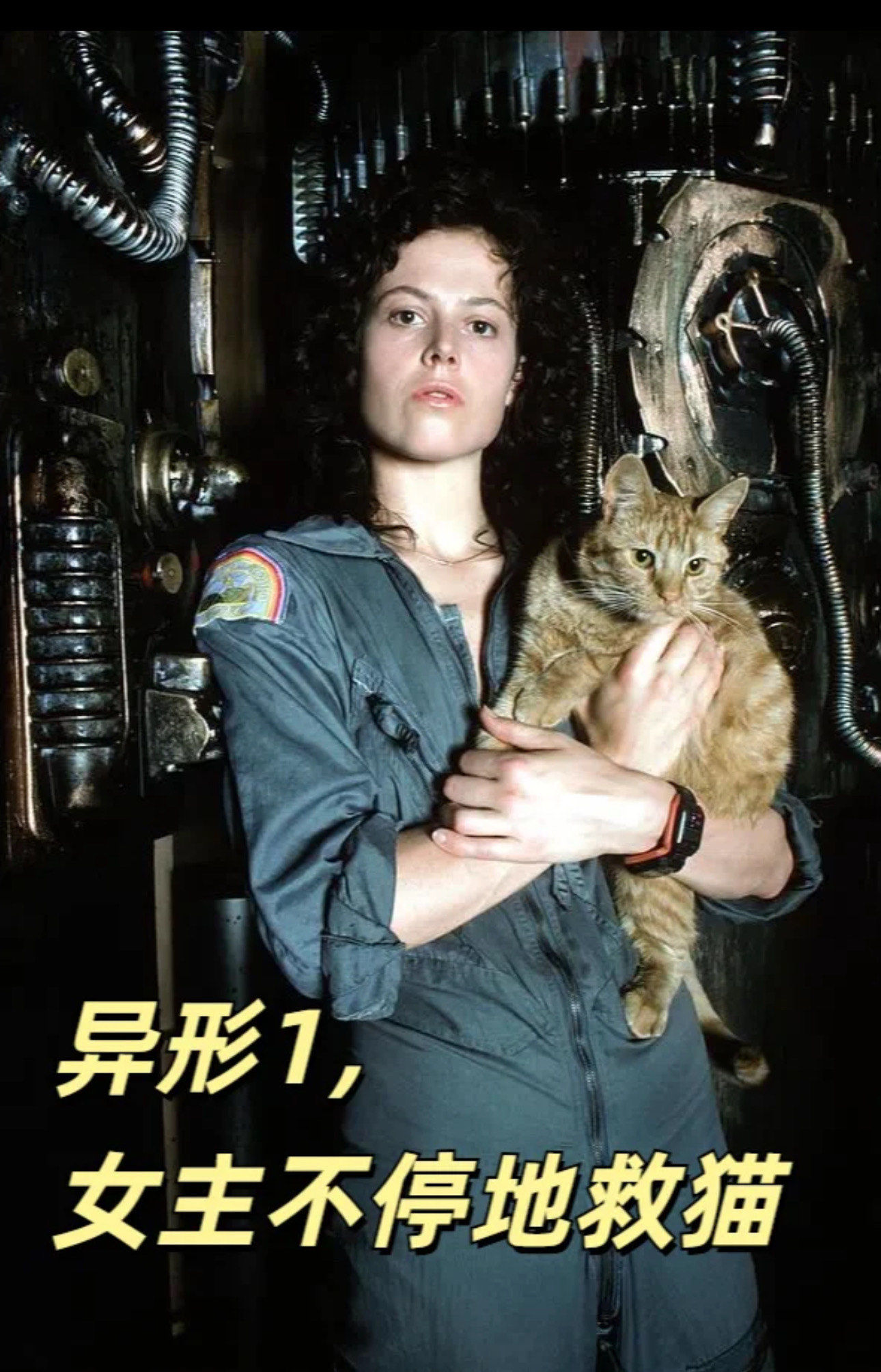 异形系列好真女性主义啊