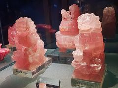 -中国地质博物馆