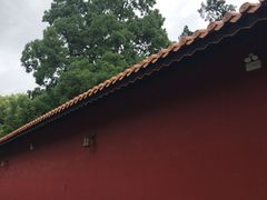 -南岳大庙
