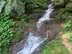 -龙岩森林水乡景区