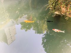 -千滋百味·醉江澜花园餐厅(街道口店)