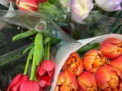 -循礼门鲜花花市(武汉循礼门店)