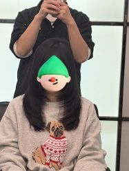 -YESIDO椰岛造型