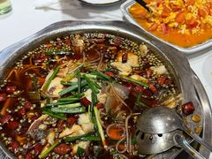 -乡土特色.冷锅鱼.牦牛肉汤锅