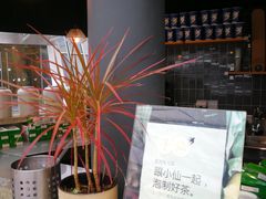 -BeauTea水仙(coco park店)