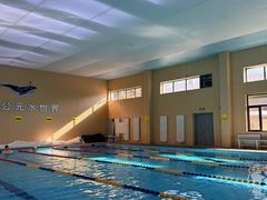 -鲸灵公元游泳中心