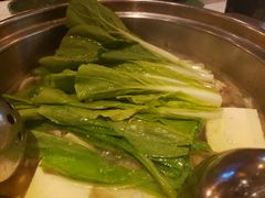 -润园四季椰子鸡火锅(海上世界店)