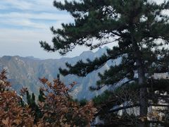 -华山风景名胜区-苍龙岭