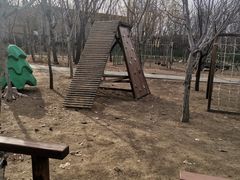 -1982农场