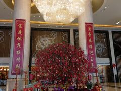 -酌宴府The China Club·广州万富希尔顿酒店(云城东路店)
