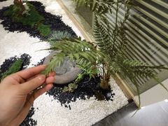 -卓锦曼购中心(国香街店)