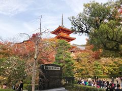 -有栖山 清光院 清水寺