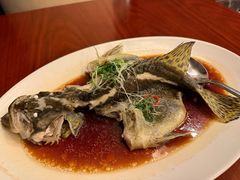 -粤尚腾香居中餐厅(首都机场希尔顿店)