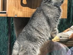 -青藏高原野生动物园