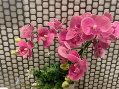 -食神鱼头佛跳墙(百子湾旗舰店)