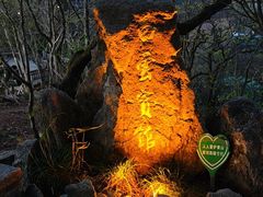 -黄山白云宾馆