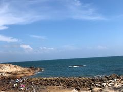 -广东惠东海龟国家级自然保护区