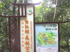 -广州白江湖森林公园